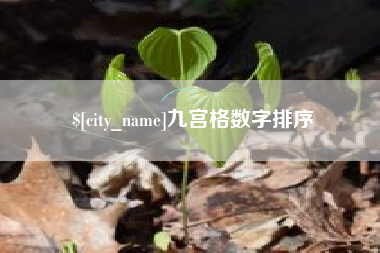 安宁九宫格数字排序