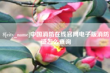 安宁中国消防在线官网电子版消防证怎么查询