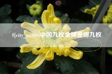 安宁中国九枚金牌是哪九枚
