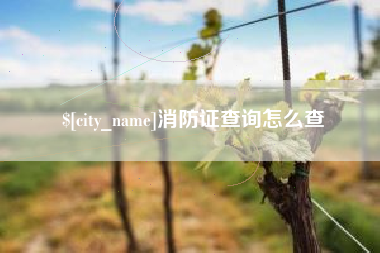 安宁消防证查询怎么查