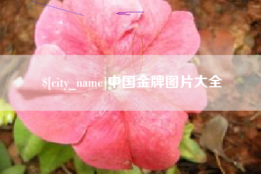 安宁中国金牌图片大全