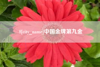 安宁中国金牌第九金