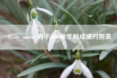 安宁男子5000米年龄成绩对照表