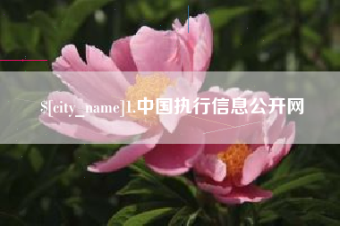 安宁1.中国执行信息公开网