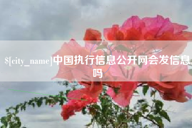 安宁中国执行信息公开网会发信息吗