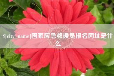 安宁国家应急救援员报名网址是什么