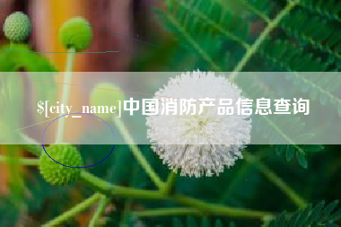 安宁中国消防产品信息查询