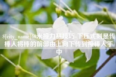 安宁60米接力赛技巧-下压式则是传棒人将棒的前部由上向下传到接棒人手中