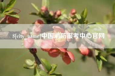 安宁中国消防报考中心官网