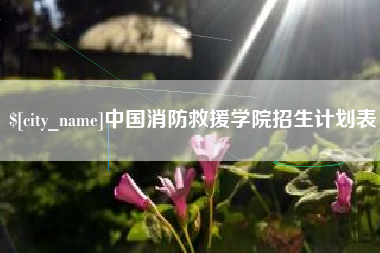 安宁中国消防救援学院招生计划表