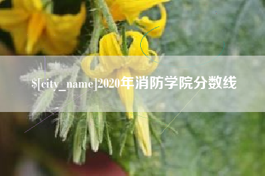 安宁2020年消防学院分数线