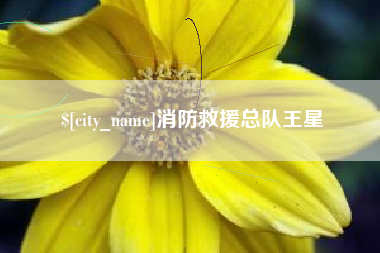 安宁消防救援总队王星