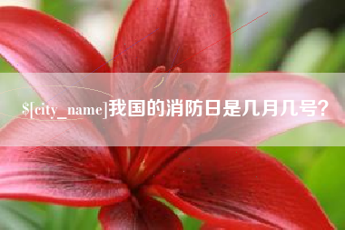 安宁我国的消防日是几月几号？