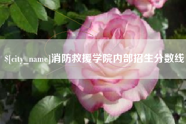 安宁消防救援学院内部招生分数线
