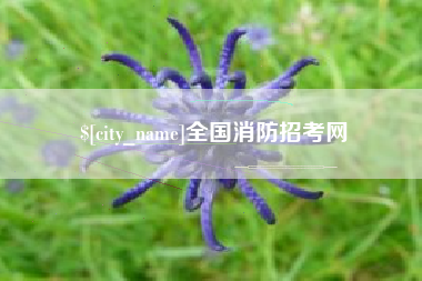 安宁全国消防招考网