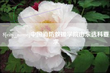 安宁中国消防救援学院山东选科要求