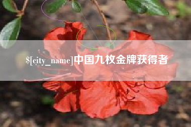 安宁中国九枚金牌获得者