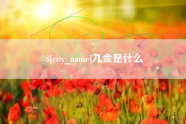 安宁九金是什么