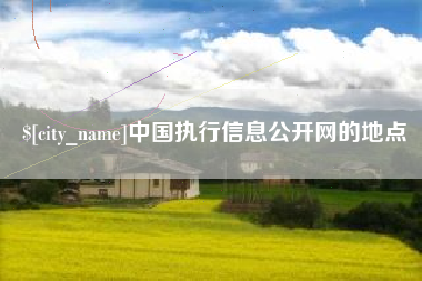 安宁中国执行信息公开网的地点