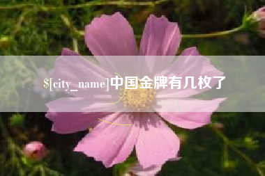 安宁中国金牌有几枚了