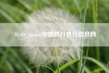 安宁中国执行执行信息网
