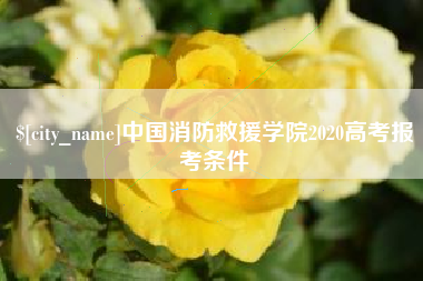 安宁中国消防救援学院2020高考报考条件