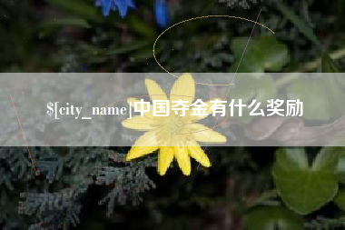 安宁中国夺金有什么奖励