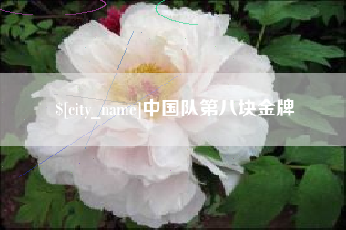 安宁中国队第八块金牌
