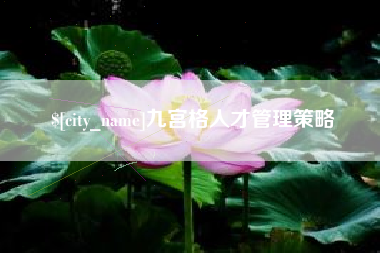 安宁九宫格人才管理策略