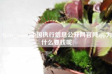 安宁中国执行信息公开网官网app为什么要钱呢
