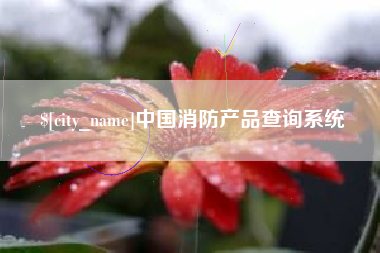 安宁中国消防产品查询系统