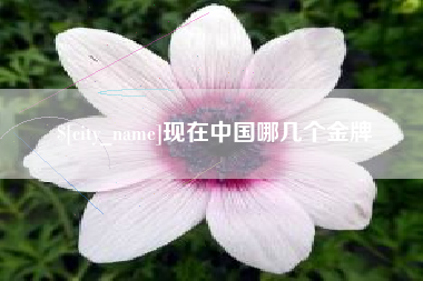 安宁现在中国哪几个金牌