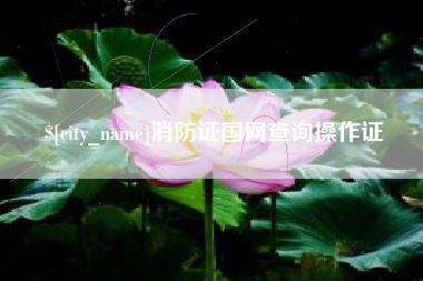 安宁消防证国网查询操作证