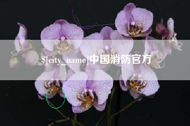 安宁中国消防官方
