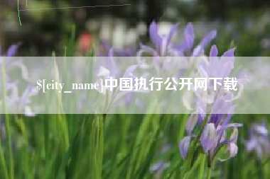 安宁中国执行公开网下载