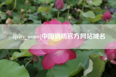 安宁中国消防官方网站域名