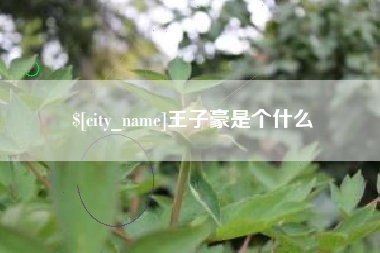 安宁王子豪是个什么