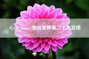 安宁奥运金牌第二个九宫格