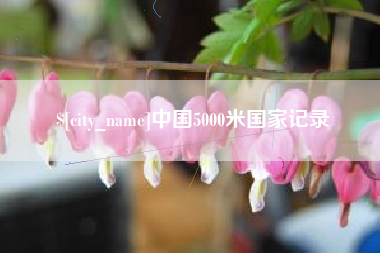 安宁中国5000米国家记录
