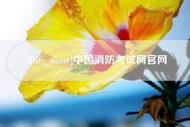 安宁中国消防考试网官网