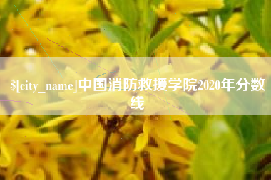 安宁中国消防救援学院2020年分数线