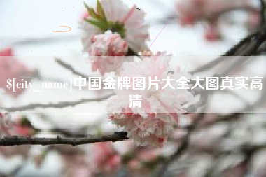 安宁中国金牌图片大全大图真实高清