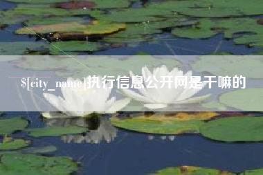 安宁执行信息公开网是干嘛的