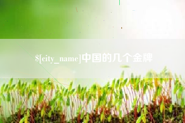 安宁中国的几个金牌