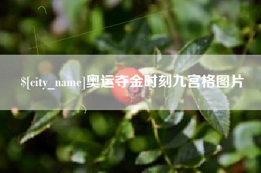安宁奥运夺金时刻九宫格图片
