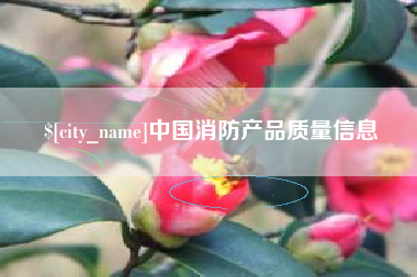 安宁中国消防产品质量信息