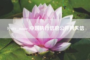 安宁中国执行信息公开网失信