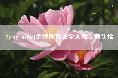 安宁金牌图片大全大图卡通头像