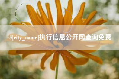 安宁执行信息公开网查询免费