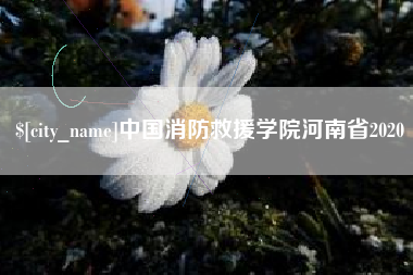 安宁中国消防救援学院河南省2020